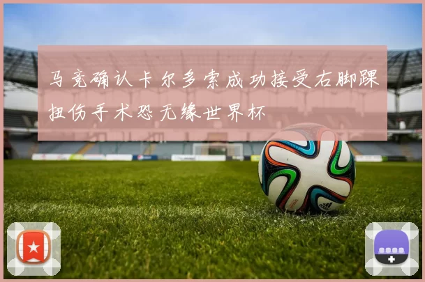 马竞确认卡尔多索成功接受右脚踝扭伤手术恐无缘世界杯